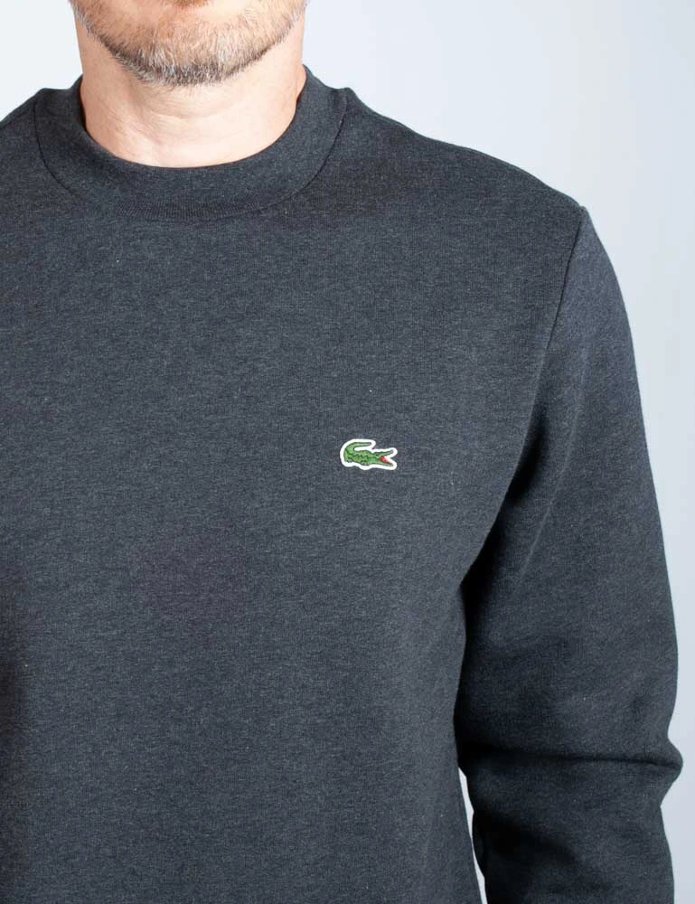 Lacoste jumper outlet grey