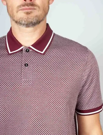 Ted Baker Affric Geo Textured Polo Shirt | Maroon