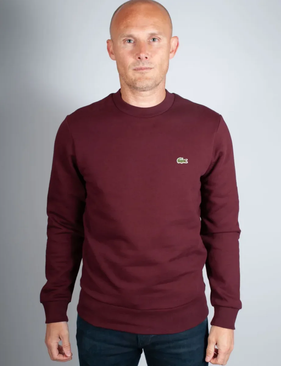 Men's Lacoste Organic Brushed Cotton Sweatshirt | Espresso