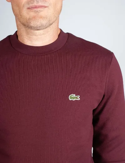 Men's Lacoste Organic Brushed Cotton Sweatshirt | Espresso