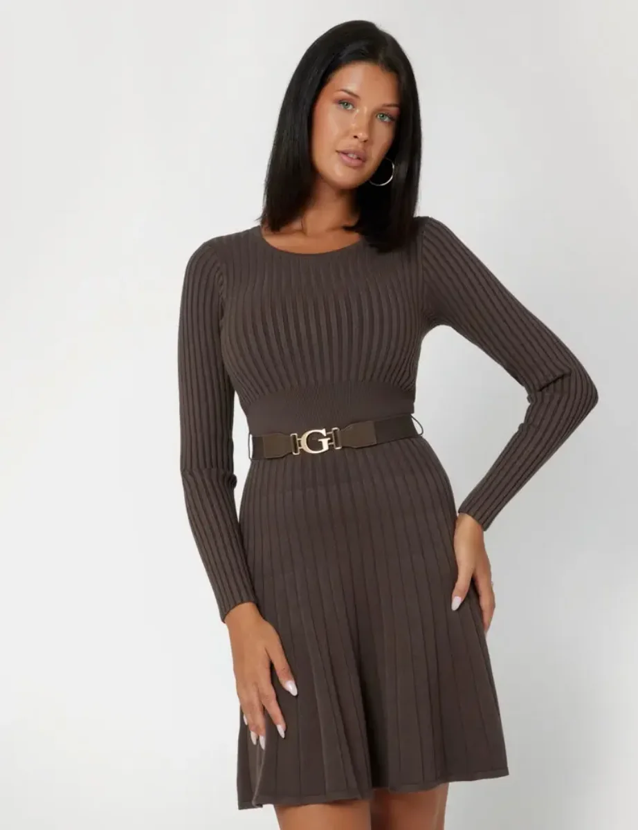 Guess Womens Paige Long Sleeve Ribbed Fit & Flare Dress | Brown