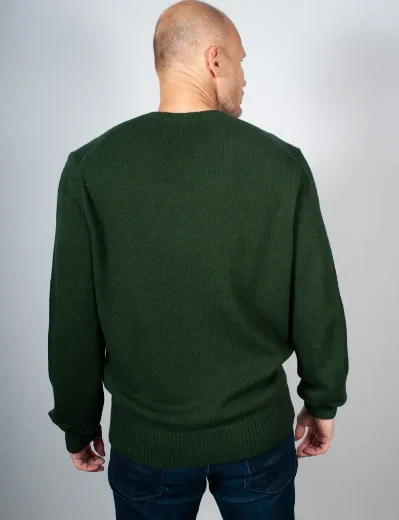 Picture of Lacoste Crew Neck Wool Jumper | Sinople Green