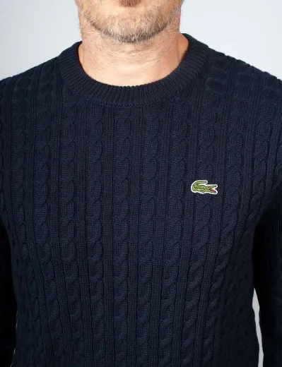Picture of Lacoste Cotton Cable Knit Jumper | Navy